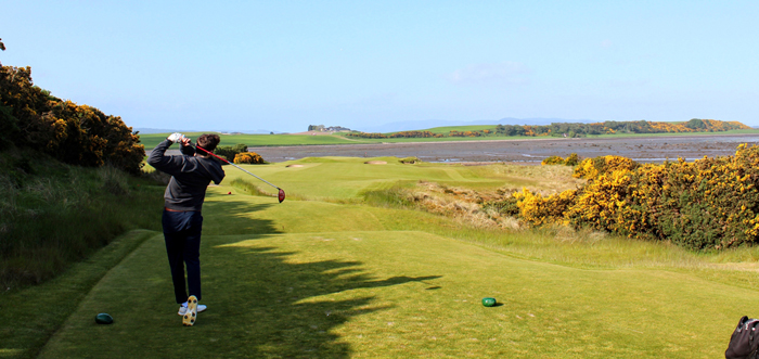 A golfer teeing off on a golf course