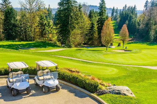 Golf buggies parked on a golf course